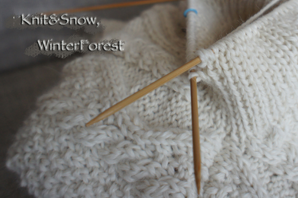 あこがれのアラン模様のセーター Knit Snow Winterforest